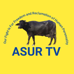 ASUR TV